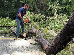 Leaf Removal in Upper Nyack, NY